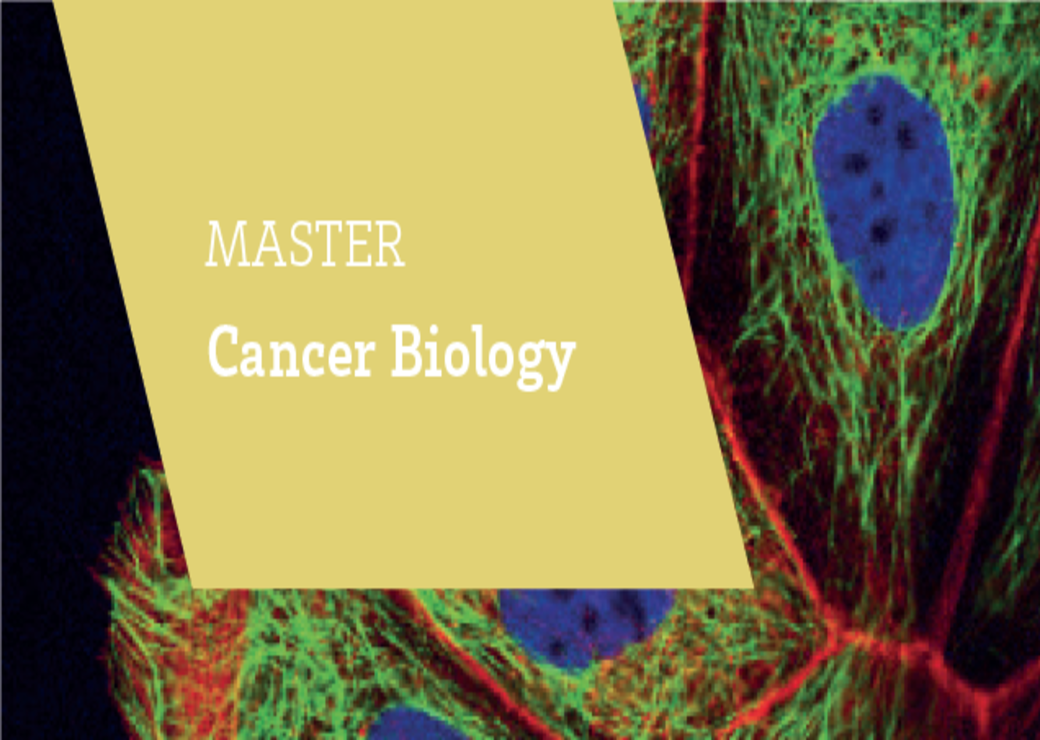 cancer master's thesis